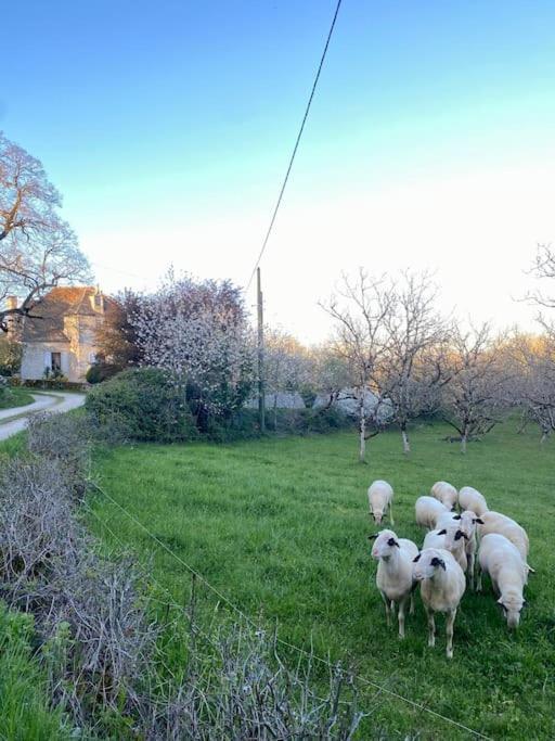 La Grangette De Paunac Cazillac ภายนอก รูปภาพ